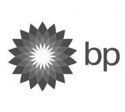 BP Logo