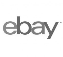 Ebay's Logo